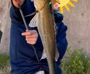 海釣りの魅力はじめ方を教えます 釣り歴8年の私といっしょに釣って食べよう！(初心者,入門者) イメージ3