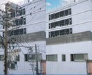 写真に写り込んだ不用物を除去いたします 修正・再調整は無料で対応いたします イメージ2