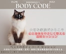 愛するペットの心・体・エネルギーを根本から整えます 言葉にならない不調にエネルギーの視点からしっかり寄り添います イメージ1