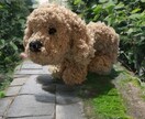 写真から羊毛フェルト犬を制作します 練習価格でお作りします（モニター） イメージ4