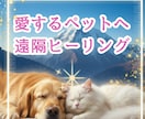 愛するペットちゃんに遠隔ヒーリングいたします ペットちゃんは人間の言葉は話せないけど、エネルギーは即伝わる イメージ1