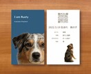 うちの子・ペット名刺作成いたします 半顔デザインが人気♪オーダー名刺／背景カラーは自由！・縦型 イメージ1