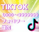 TikTokフォロワー2000人〜増やします TikTokフォロワー増加！宣伝・拡散！ イメージ1