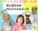あなたのペットの気持ちをタロットカードで占います テレビでも紹介された「わんにゃん占い」ならわかるペットの心 イメージ2