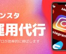 ボット運用無しでインスタのプロがしっかり運用します インスタを伸ばしたい方限定【お試しライトプラン】 イメージ1