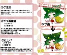 可愛い！使える！愛されデフォルメキャラ描きます みんなの視線をひとりじめ！愛されデフォルメキャラ！ イメージ4
