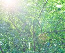四柱推命で、2026年の【年運】を読み解きます ｜開運の流れと、安心のヒントをお届け✨️ イメージ8