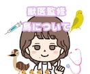 鳥に関するブログ作成します 貴方の運営サイトブログを獣医師が監修します。 イメージ1