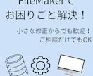 FileMakerファイルの作成をサポートします FileMakerを用いたファイルの作成、補助、相談など！ イメージ1