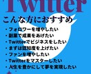 Twitterマネタイズ完全攻略法を教えます 年収3億超の起業家から教わった、Twitter完全攻略法 イメージ3