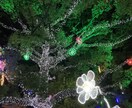 気軽に話してみませんか？モヤモヤイライラ何聞きます 元保育士、シングルマザーが再婚した主婦です悩みに寄り添います イメージ1