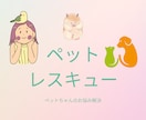 ペットちゃんのお悩みアドバイスします 動物看護士、動物園飼育員などペットのプロがアドバイスします！ イメージ1