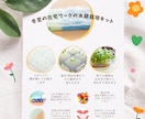 格安でチラシ製作致します 初心者です 4000円の格安で10日納期します。 イメージ2