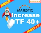 超格安でトラストフローTF30以上にアップさせます ☆限定価格☆TF35-40以上へのアップグレードオプション有 イメージ7