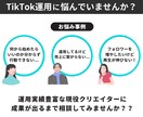 1ヶ月間TikTok運用のコンサルティングをします 個人様・法人様の運用/コンサル実績多数あり イメージ2