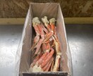 海産物でお家時間✩.*˚お選びします 北海道最北端の卸しのプロが厳選致します!! イメージ7