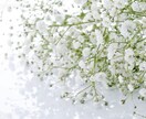 うつ、そう、双極性障害の相談にのります いちばん苦しいのは本人です。家族のように悩ませてください。 イメージ3