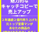 商品の"魅力"を引き出すキャッチコピーを作成します 元トップ営業マンが、"本気で"顧客に刺さるフレーズ考えます！ イメージ1