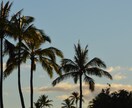【ハワイ】ワイキキに住んでいる私がローカル情報をお教えします！（オアフ島限定） イメージ1