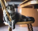 どんな愚痴でもお聞きします 少しでも心のわだかまりを解消できるよう、お手伝いします！ イメージ1