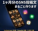 1ヶ月分のお店専用SNS投稿文を作ります インスタ20本・Google8本・LINEをコピペするだけ！ イメージ1