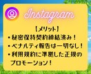 インスタフォロアー増やします 日本人アクティブフォロワーを最短２～３日で１００人増やします イメージ5