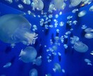 心のお悩みききます 鬱病経験者、家族の鬱病経験あり、親の過干渉など話し相手に イメージ3