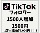 TikTokフォロワーを1500人増やします 他社より高ければご連絡ください！増量してご提供致します！ イメージ1