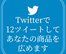 Twitterでツイートを合計12回/6日間します 個人の起業家様で商品・サービスを宣伝/認知/拡散したい方へ イメージ1