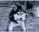 あなたのペットの写真からイラストを描きます キャッチーなコピーも併せて提供させて頂きます。 イメージ10