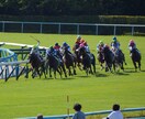 すぐに使える競馬予想AIを提供・レクチャーします カレンダーからレースを選択して簡単予測！ イメージ1