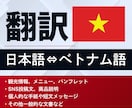 日本語⇔ベトナム語を翻訳します 丁寧な翻訳で、伝わるベトナム語に仕上げます イメージ1