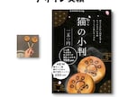 お任せ！ベテランデザイナーがチラシをお作りします 初心者の方も歓迎！企業様から個人まで高品質を安価でお届け！ イメージ5
