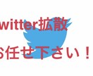 Twitterでインプレッション1万まで拡散します 数回バズり経験あるアクティブ垢2万フォロワーで拡散します！！ イメージ1