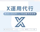 X運用代行（1ヶ月）｜投稿作成～投稿まで対応します アカウント運用の負担を軽減／平日朝予約投稿／週3回反応対応 イメージ1