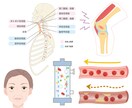 美容や健康、医療関係に使えるイラスト描きます 化粧品関係や健康関連のサイトなどに使えるイラストを安価にて イメージ2