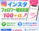 インスタ日本人フォロワー増加を自然にサポートします 100＋α目安｜少人数10件から安心して気軽にご相談できます イメージ1