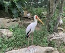 沖縄の写真、動画撮影いたします 沖縄在住の地元人が沖縄の景色を活かして穴場も撮影します イメージ2
