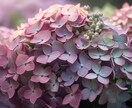 夏至までに貴方がやるといいことチャネリングします 運気を左右する大切なタイミング イメージ1