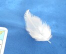 琉球御殿末裔│生死を越えた翻訳者が魂の声届けます 一期一会を掴み取る覚悟。運命の歯車を回す魂の鑑定をします イメージ1