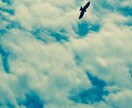 経験者だからできること。あなたの心に寄り添います 日々の生きづらさ、ちょっとした不安。言葉にしませんか。 イメージ1