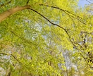 NOと言えない・自分を大切にしたい方へ相談します 自分よりも人を優先してきたあなたへ イメージ5