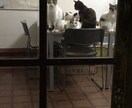 今日はどんな1日になる？明日は？心がけるキーワードをお答えします。 イメージ3