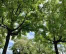 子育てで疲れている方のお話し聞きます 音楽療法カウンセラー・二児の母がオススメの曲も提案♪ イメージ1