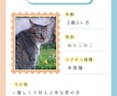 猫instagramの投稿や広告画像制作します ねこに特化！イメージに寄り添い丁寧にデザイン制作いたします！ イメージ6