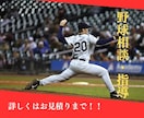 プロ選手対応理学療法士が野球の悩み相談を受付ます あなたの「うまくなりたい」を本気で支えます イメージ2