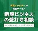 新規ビジネス・マーケティングの相談（壁打ち）します 考えを整理して、進むべき方向性を一緒に見つけましょう！ イメージ1