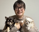 ペット業界22年のプロが犬に関する記事を執筆します 業界の裏側を知るプロが本音で書く犬の記事 イメージ1