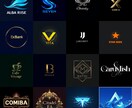 最短1日納期！低価格で高級感あるロゴを作成します クールでスタイリッシュな高級感のある雰囲気ロゴを提供します。 イメージ5