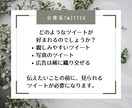 ツイッターを日常的な雰囲気で1ヶ月運用代行します 業者っぽい代行よりも親しみのあるツイッターアカウントへ イメージ3